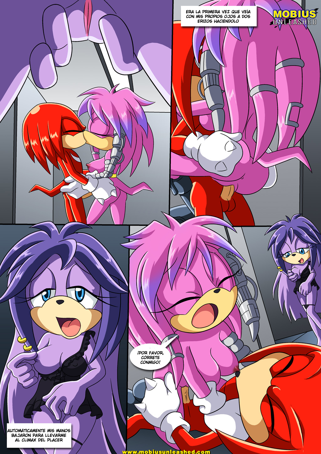 [Palcomix] Echidna Tail (Sonic the Hedgehog)