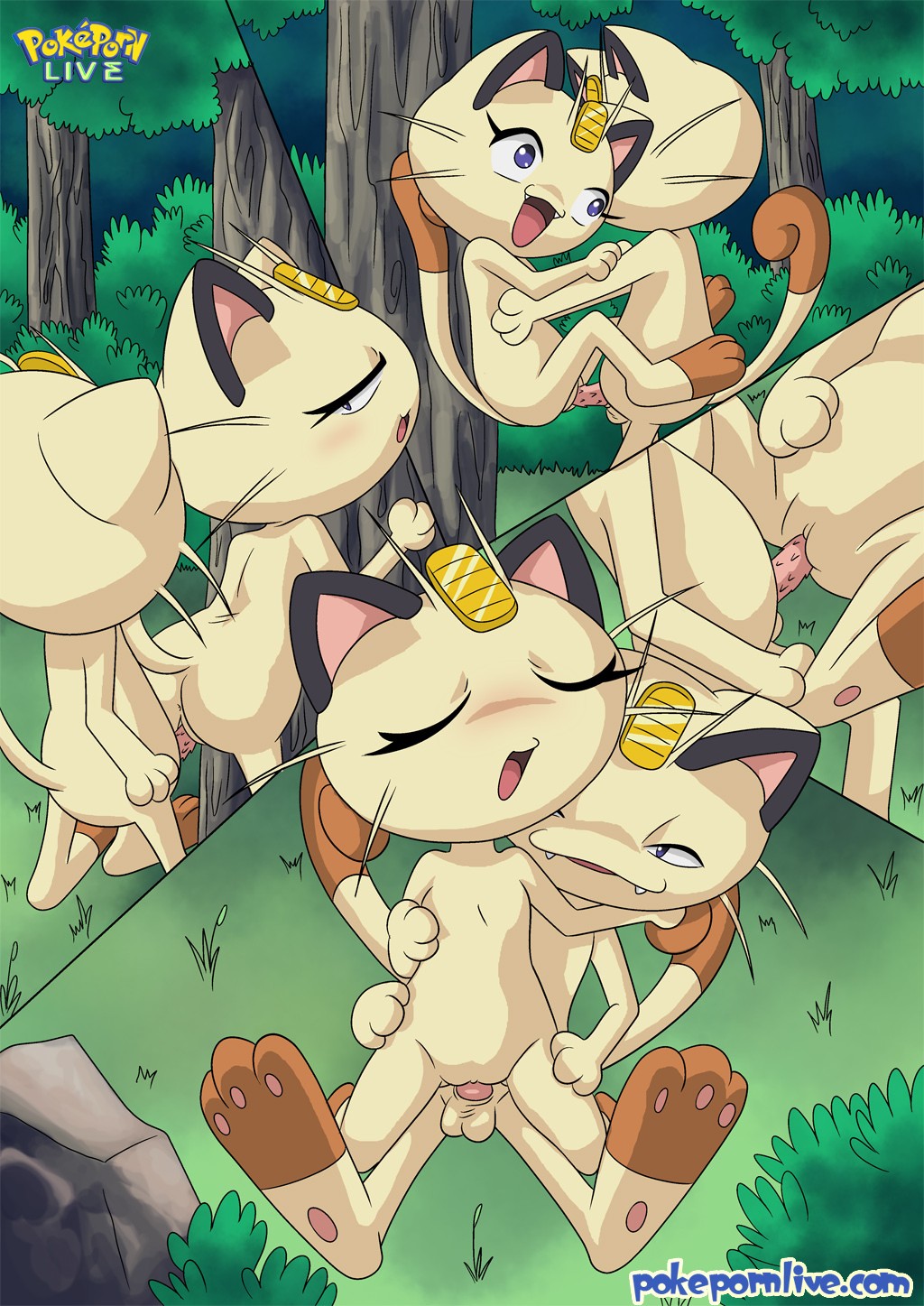 [Palcomix] Las GATITAS de NYARTH (Pokémon)